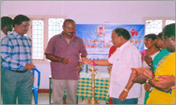 mentor